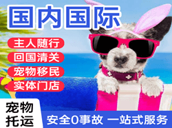 太原机场货运国际宠物托运 【国